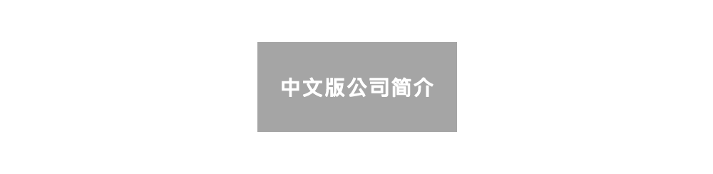 中文版公司简介